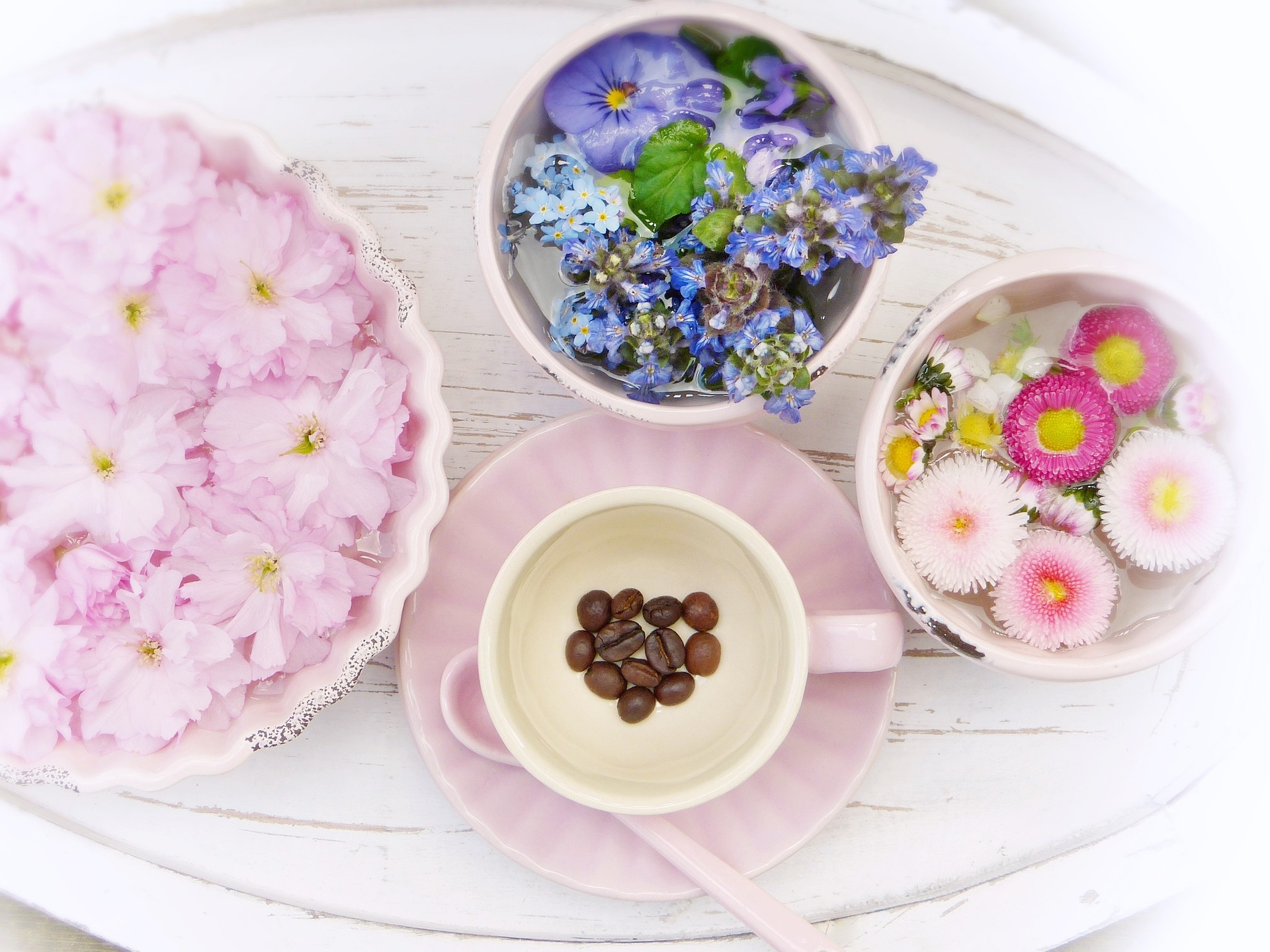Mitos comunes sobre la homeopatía para la salud